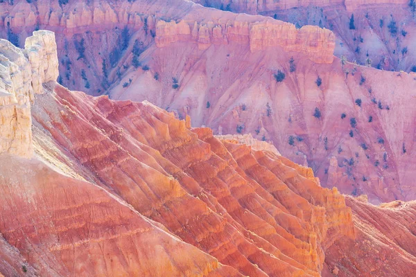 Cedar Breaks Autumn Season Utah Сша — стоковое фото