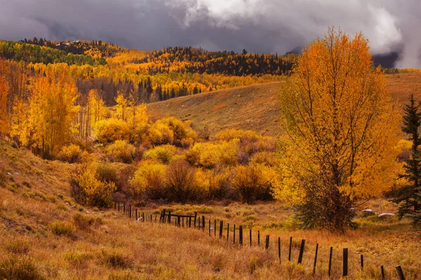 Colorido Otoño Amarillo Colorado Estados Unidos Temporada Otoño —  Fotos de Stock