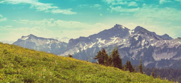 Belo Pico Montanha North Cascade Range Washington Eua — Fotografia de Stock