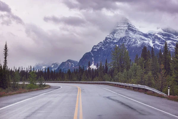 Autoroute Dans Forêt Canadienne Saison Estivale — Photo