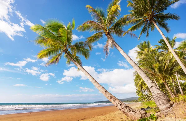 Serenità Sulla Spiaggia Tropicale — Foto Stock