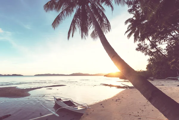 Sereniteit Het Tropische Strand — Stockfoto