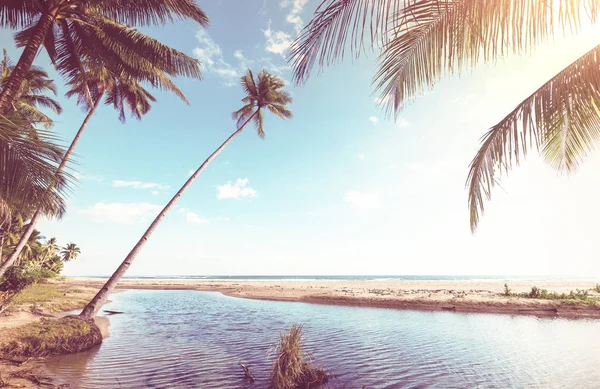 Lugn Den Tropiska Stranden — Stockfoto