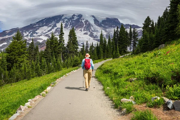 Národní Park Mount Rainier Washington — Stock fotografie