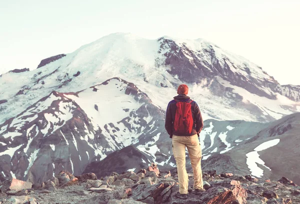 Parque Nacional Monte Rainier Washington — Foto de Stock