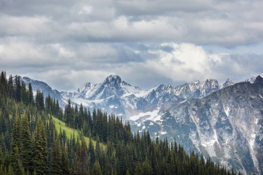 North Cascade Range, Washington / ABD 'de güzel bir dağ zirvesi.