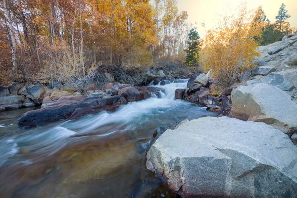 秋天的森林小河 — 图库照片