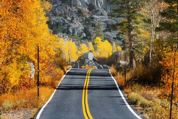 Colorful Autumn Scene Countryside Road Forest — Stock Photo, Image