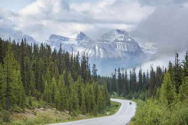 Snelweg Canadees Bos Het Zomerseizoen — Stockfoto