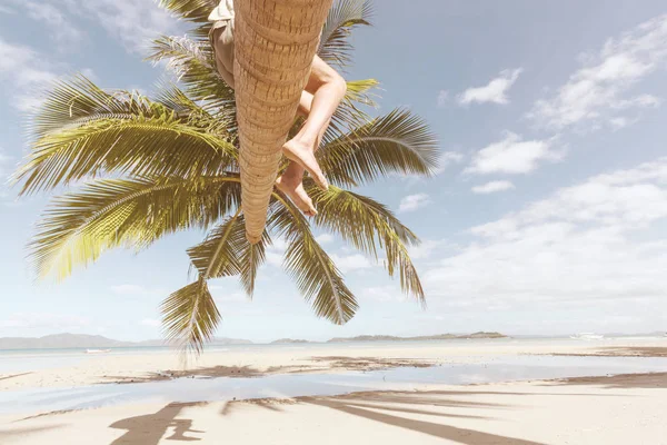 Serenity Tropical Beach — Stock Photo, Image