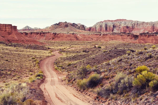 Kırsal kesimde bir yol. Terk edilmiş doğal seyahat geçmişi.