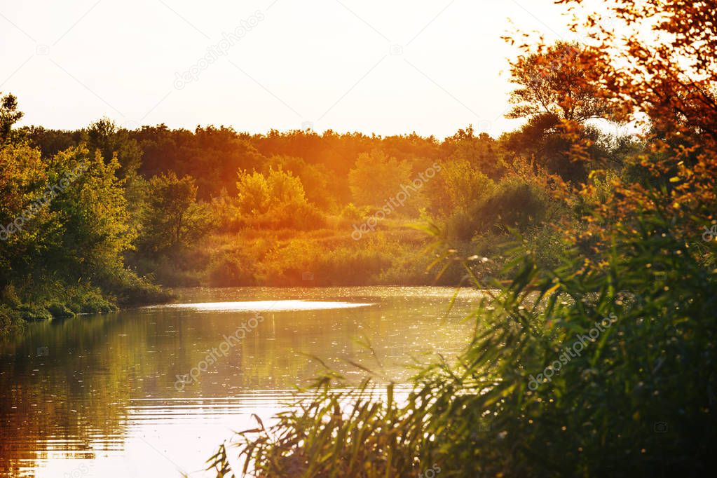 River bank in sunny summer day