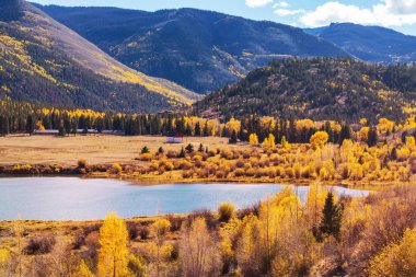 Colorado, ABD 'de renkli bir sonbahar. Sonbahar sezonu.