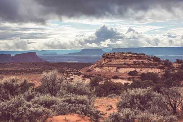 Beautiful Landscapes American Desert — Stock Photo, Image