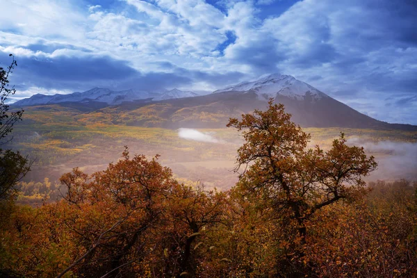 Kleurrijke Gele Herfst Colorado Verenigde Staten Herfstseizoen — Stockfoto