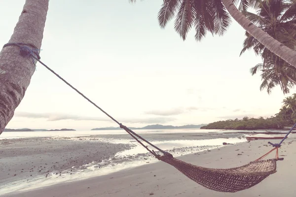 Tropisch Paradijs Strand Met Palmbomen Traditionele Gevlochten Hangmat — Stockfoto