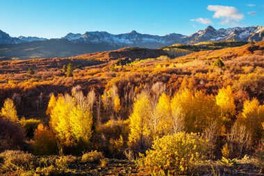 Colorado, ABD 'de renkli bir sonbahar. Sonbahar sezonu.