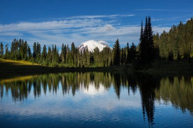 Mount Rainier Ulusal Parkı, Washington