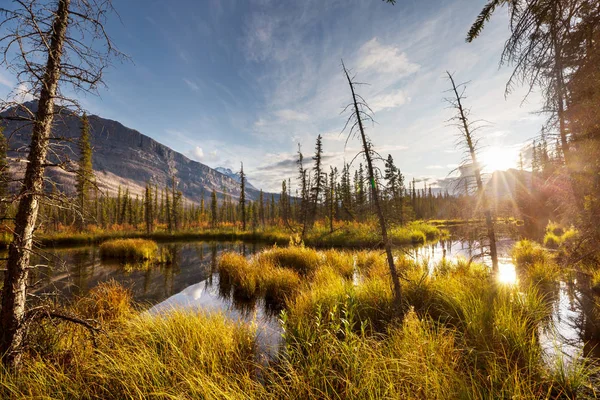 Kanada Dağlarında Güzel Bir Sonbahar Mevsimi Sonbahar Arkaplanı — Stok fotoğraf