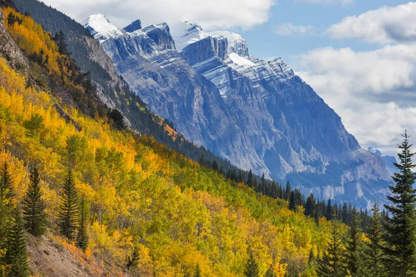 カナダの山々で美しい秋の季節 秋の背景 — ストック写真