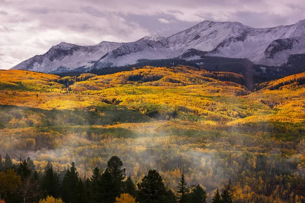 Färgglad Gul Höst Colorado Usa Höstsäsong — Stockfoto