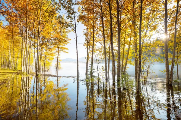 Der Schöne See Der Herbstsaison — Stockfoto