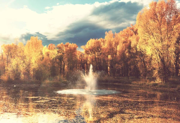 Fontana Nel Bellissimo Parco Autunnale — Foto Stock