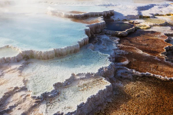 Mammoth Hot Springs Yellowstone États Unis — Photo