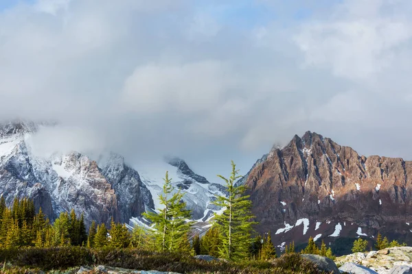 Pittoresca Vista Sulle Montagne Rocciose Canadesi Nella Stagione Estiva — Foto Stock