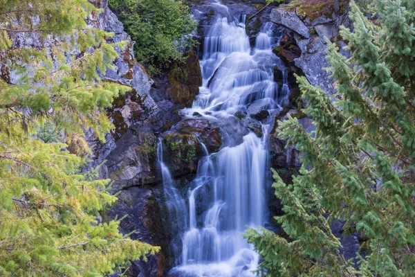 Cascada Hermoso Bosque Verde —  Fotos de Stock