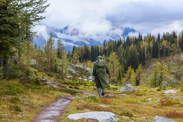 Caminhada Nas Montanhas Outono Tema Época Outono — Fotografia de Stock