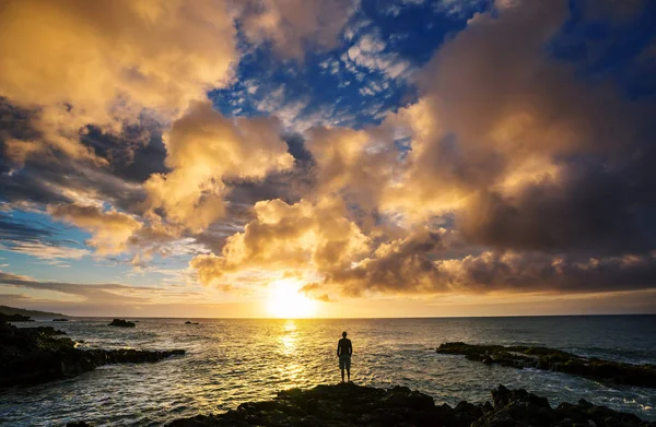 Gyönyörű Trópusi Tájak Maui Szigeten Hawaii — Stock Fotó