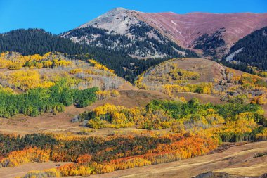 Colorado, ABD 'de renkli bir sonbahar. Sonbahar sezonu.