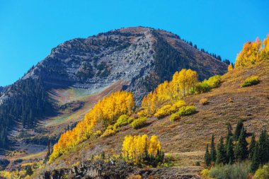 Colorado, ABD 'de renkli bir sonbahar. Sonbahar sezonu.