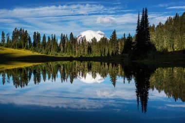 Mount Rainier Ulusal Parkı, Washington