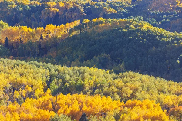 Colorful Yellow Autumn Colorado United States Fall Season — Stock Photo, Image