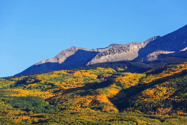 Kleurrijke Gele Herfst Colorado Verenigde Staten Herfstseizoen — Stockfoto