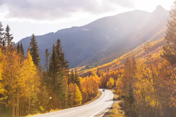 五彩缤纷的秋景映衬在森林的乡村道路上 — 图库照片