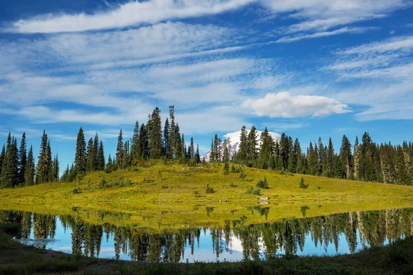 Národní Park Mount Rainier Washington — Stock fotografie