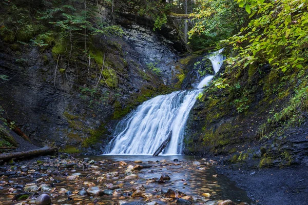 Waterfall Beautiful Green Forest — Stock Photo, Image