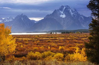 Güz mevsiminin parlak renkleri Grand Teton Ulusal Parkı, Wyoming, ABD