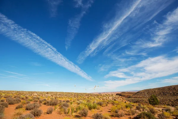 American landscapes- prairie in autumn season, Utah,  USA.