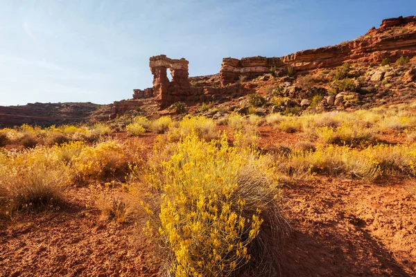 Amerikan Peyzajları Sonbahar Mevsiminde Çayır Utah Abd — Stok fotoğraf