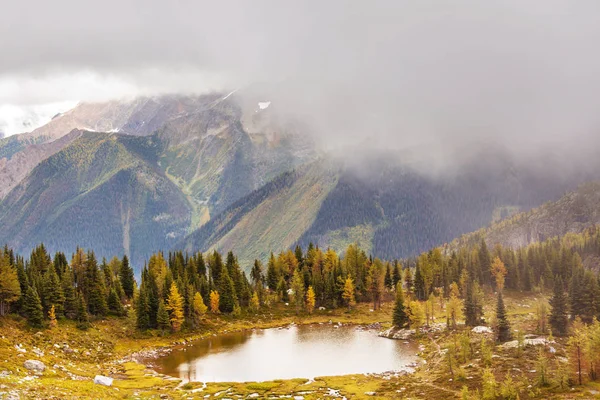 Prachtig Herfstseizoen Canadese Bergen Achtergrondinformatie — Stockfoto