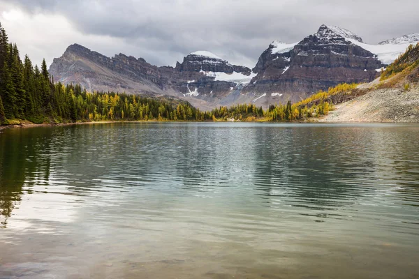 Prachtig Herfstseizoen Canadese Bergen Achtergrondinformatie — Stockfoto