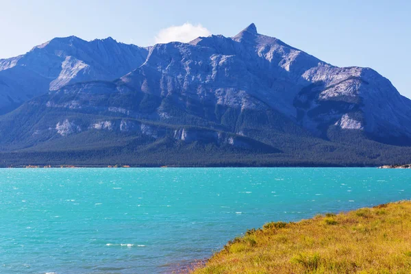 Bela Temporada Outono Nas Montanhas Canadenses Fundo Queda — Fotografia de Stock