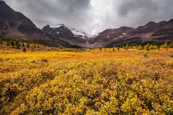 Prachtig Herfstseizoen Canadese Bergen Achtergrondinformatie — Stockfoto