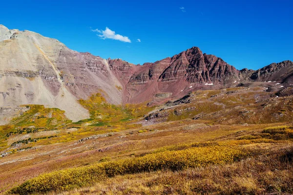 Farbenfroher Gelber Herbst Colorado Usa Herbstsaison — Stockfoto