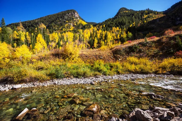 Colorado Abd Renkli Bir Sonbahar Sonbahar Sezonu — Stok fotoğraf