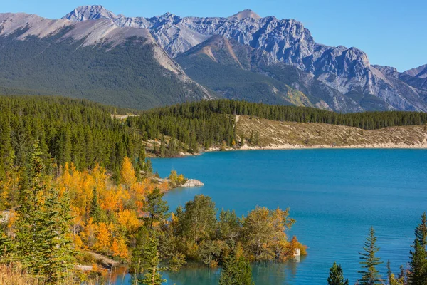 Vacker Höstsäsong Kanadensiska Berg Fall Bakgrund — Stockfoto